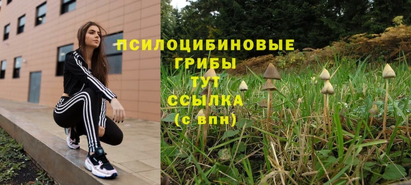 Альфа ПВП Алексин