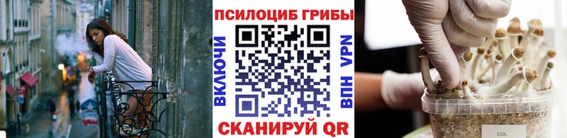 Псилоцибиновые грибы Cubensis  Бийск 